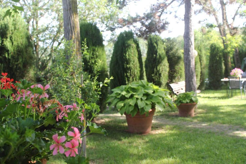 La Selva Farm stay *