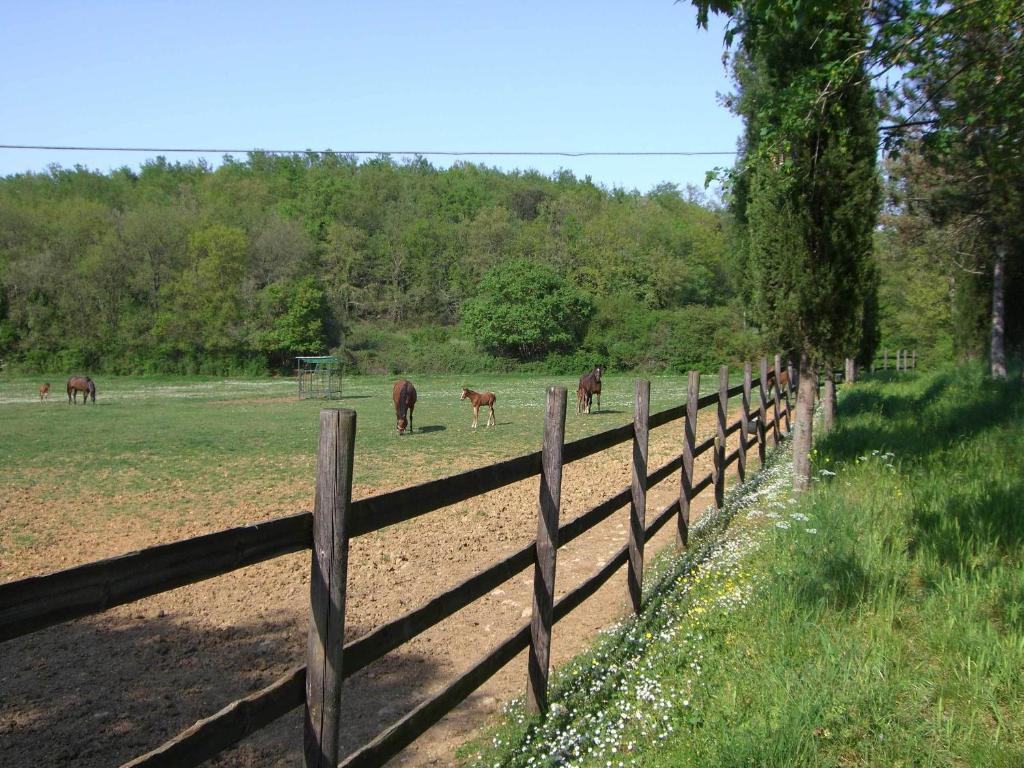 La Selva Farm stay *