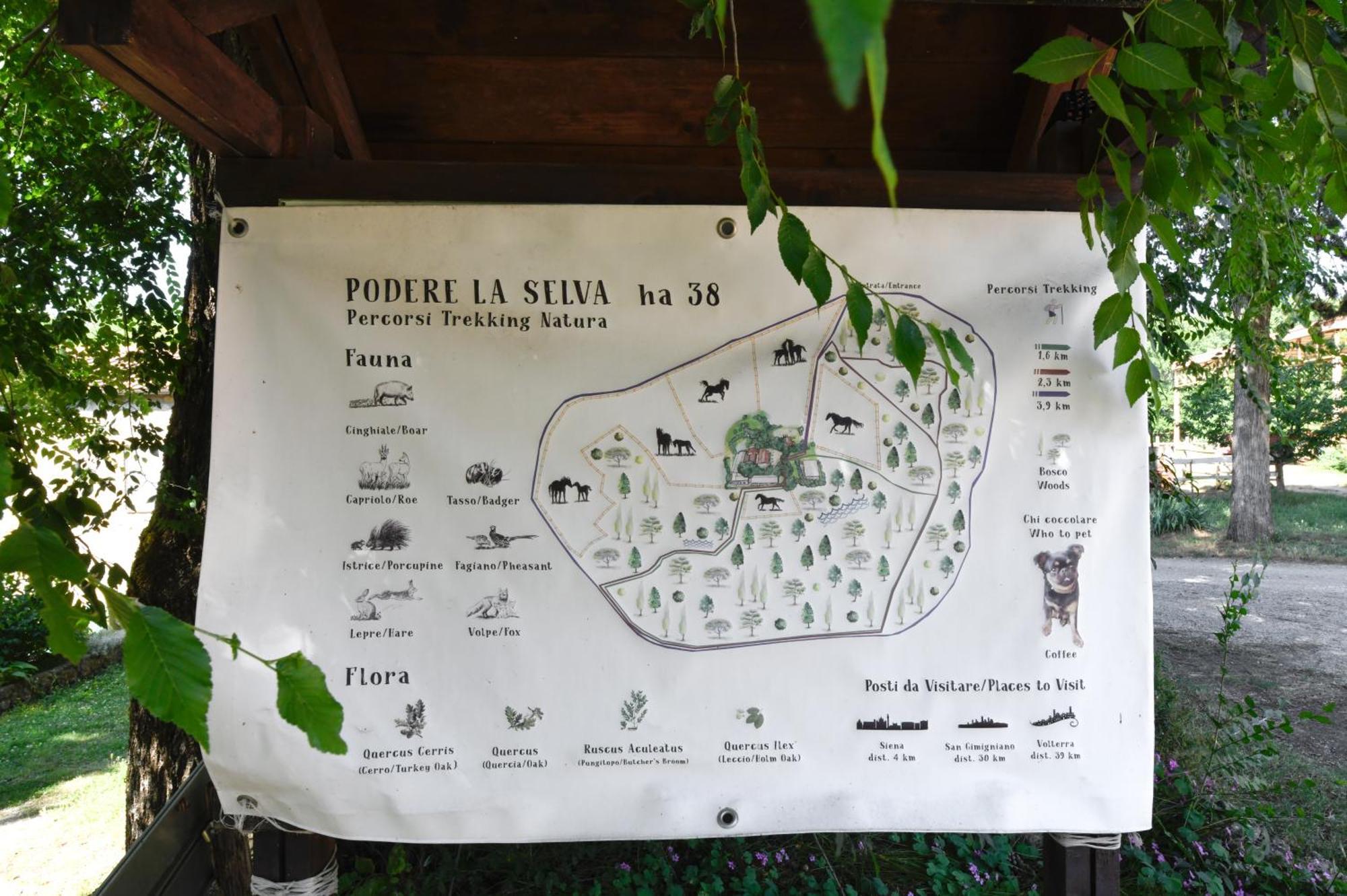 La Selva