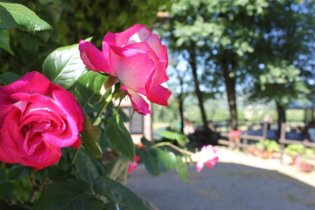 La Selva Vakantieboerderij